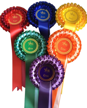 HORSE SHOW ROSETTES